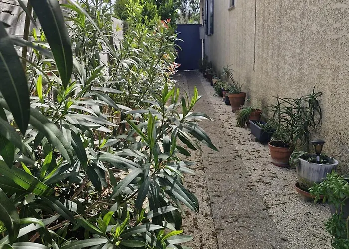 Maison Aux Portes Des Garrigues בית נופש